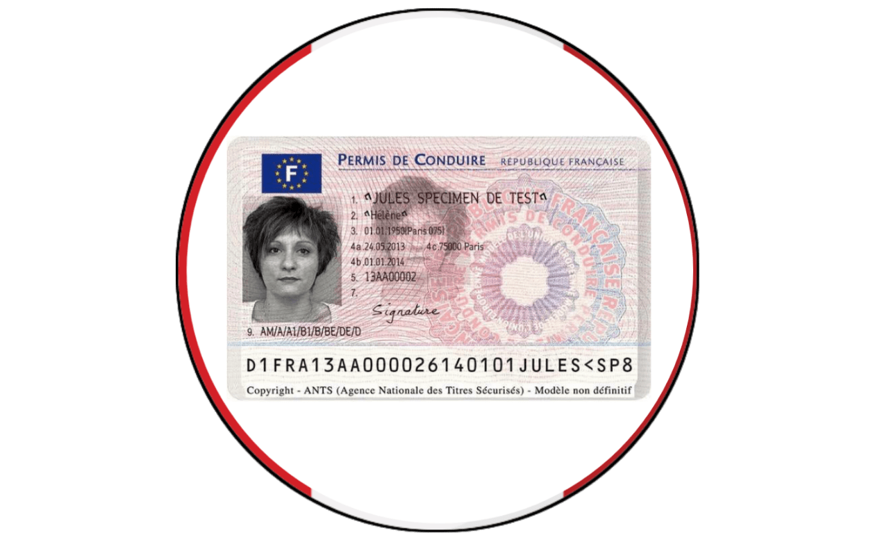 Driver License - France